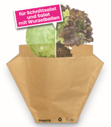 bloom guard Salat für Schnittsalat und Salat mit Wurzelballen von WEBER Verpackungen